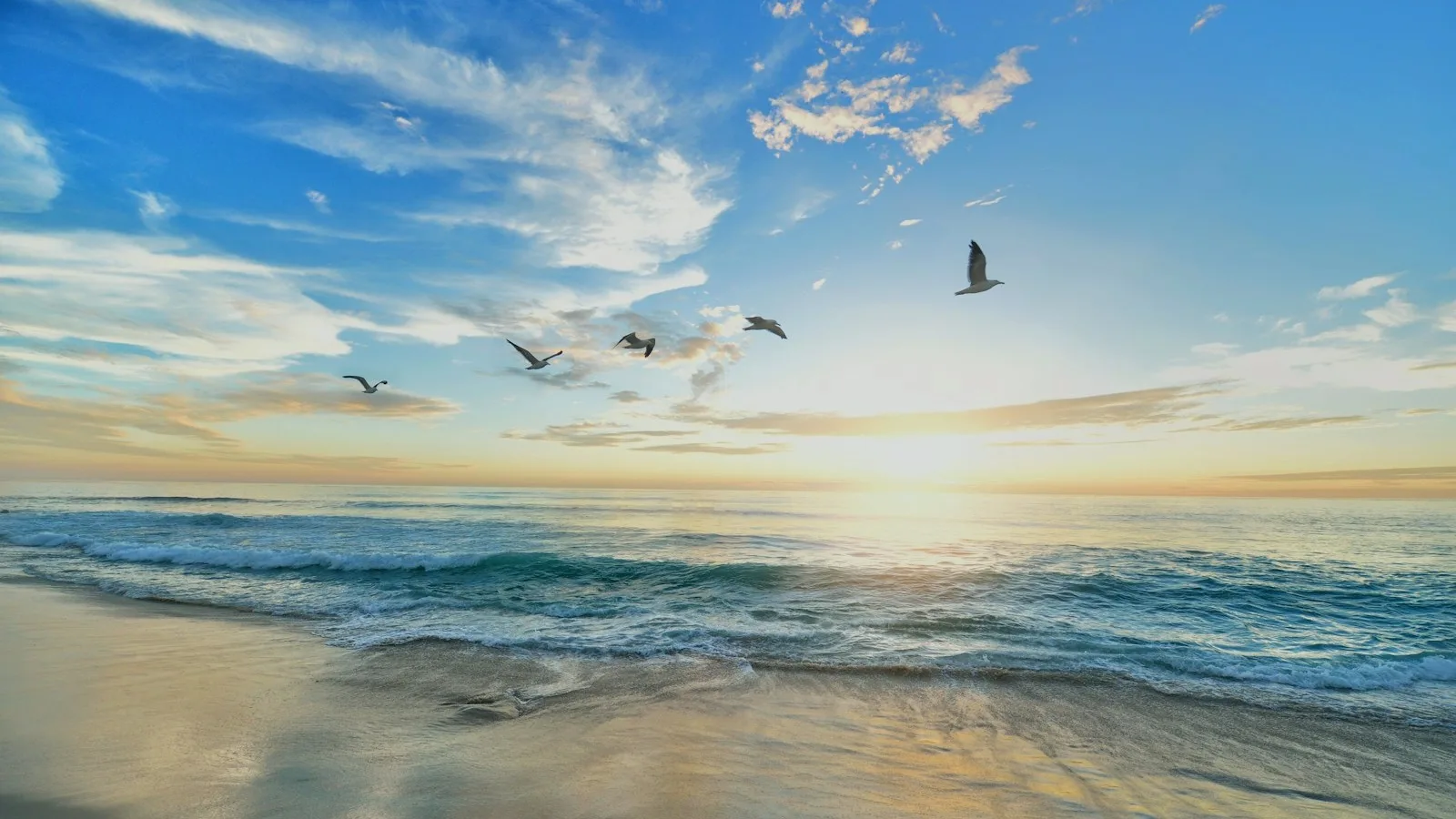 Quiet Gulf Coast beach at sunrise with calm water, soft gold light and seagulls over the horizon