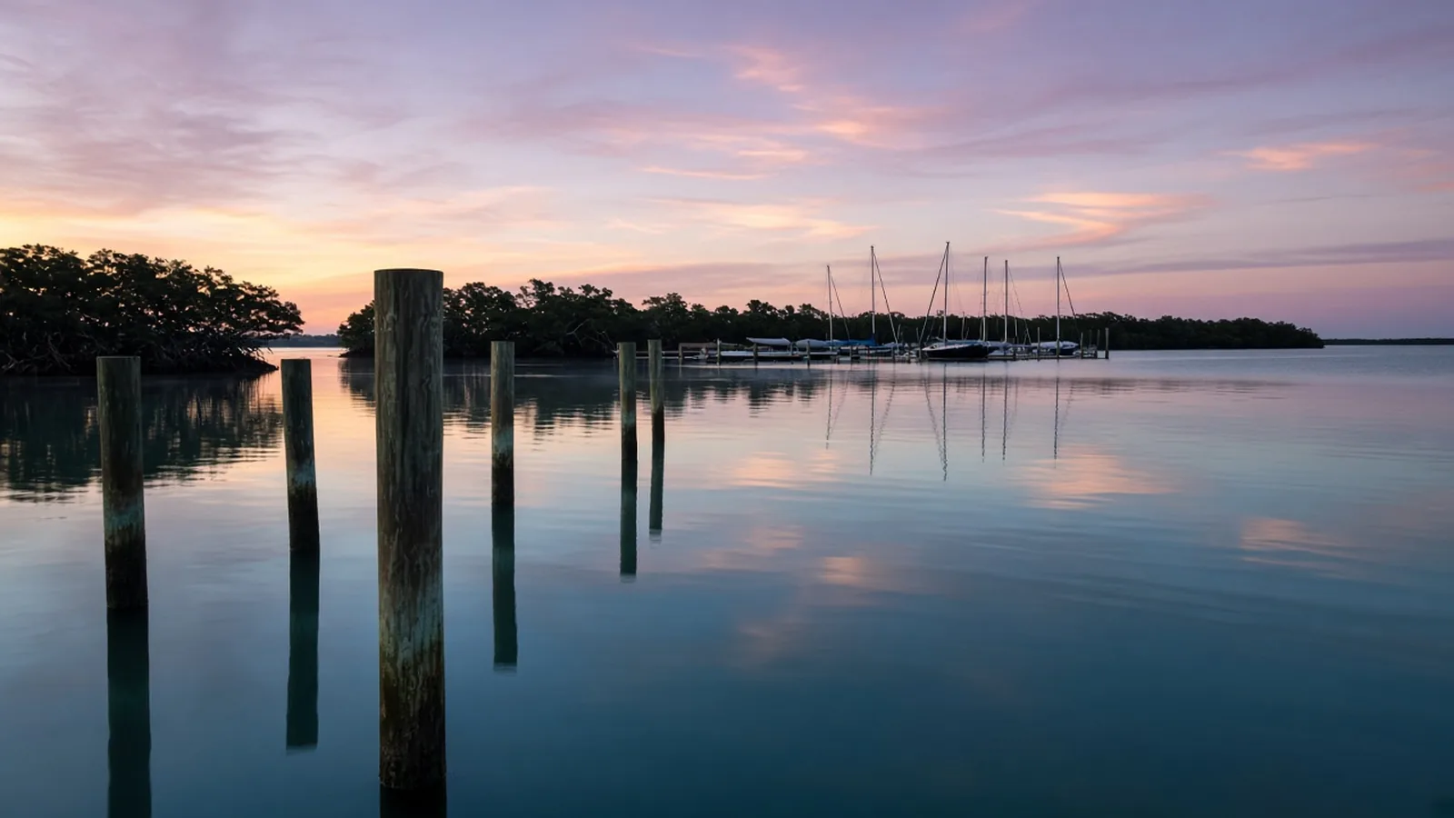 Quiet Gulf Coast marina at soft pre-dawn light with calm water, wooden dock pilings and distant mangrove silhouettes
