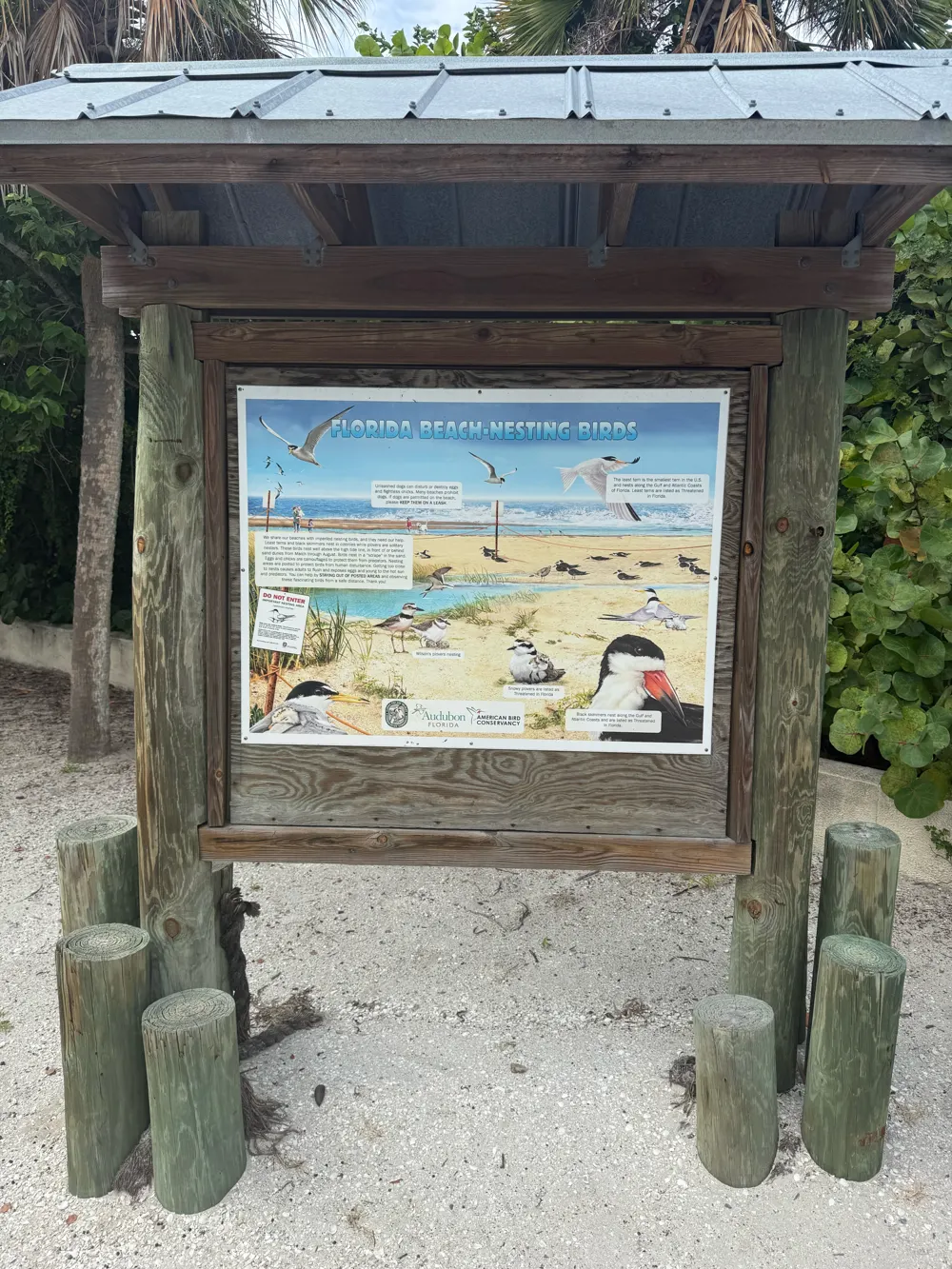 The Florida Beach-Nesting Birds sign on the path to Lido Beach