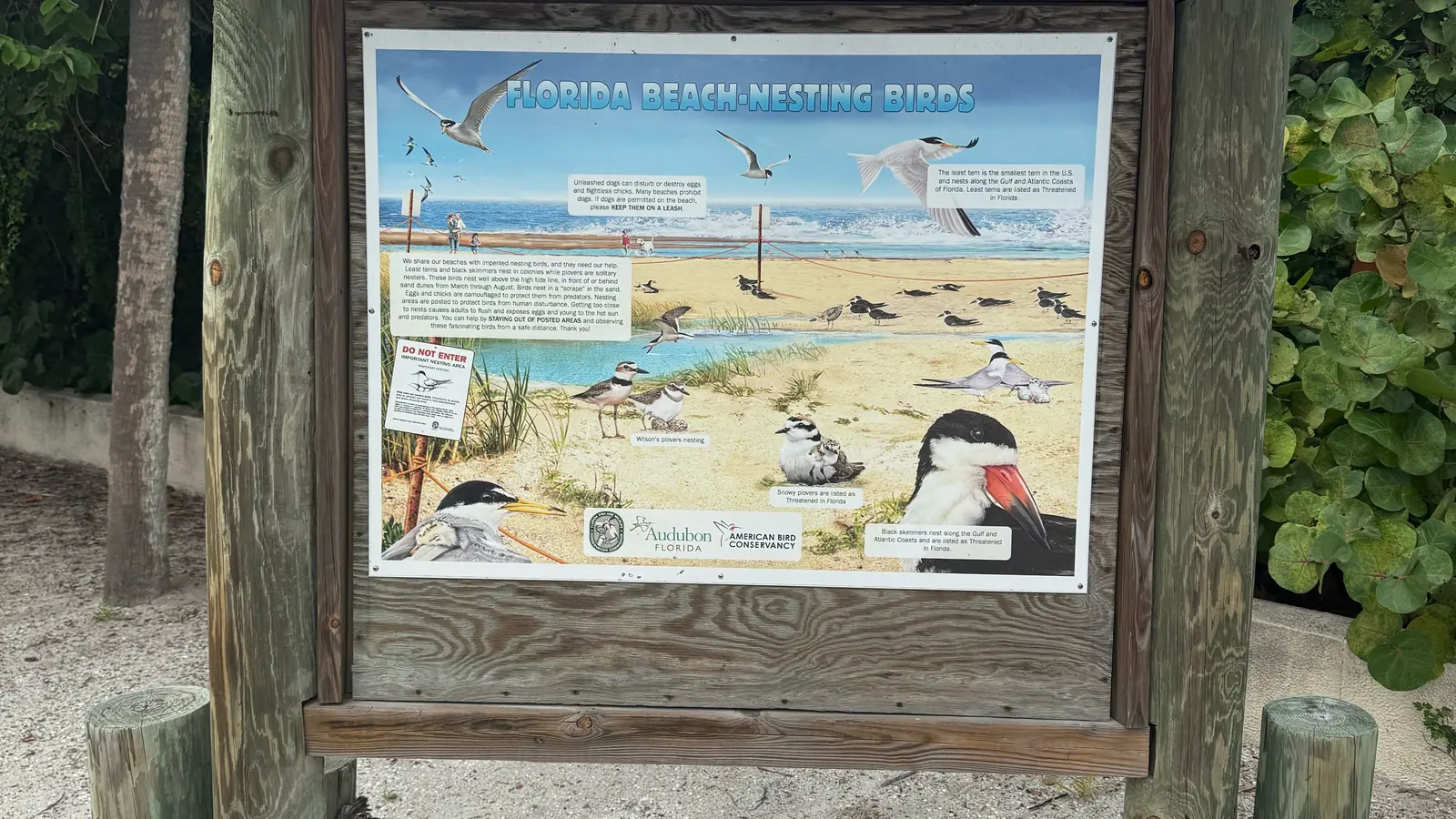 Wooden kiosk on the sandy path to Lido Beach with a Florida beach-nesting birds sign