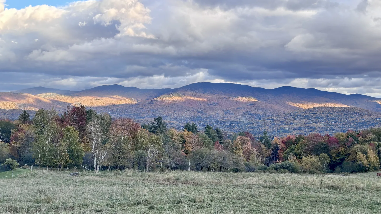 Late-afternoon view across a grassy pasture to a tree line in red, orange and gold, with sunlit patches on rolling mountains under heavy gray and white clouds