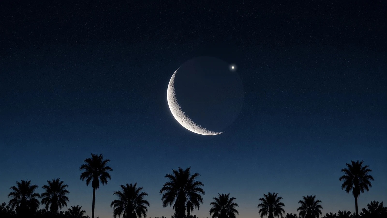 A thin crescent Moon over Sarasota palms before dawn, with Jupiter touching its upper-right edge